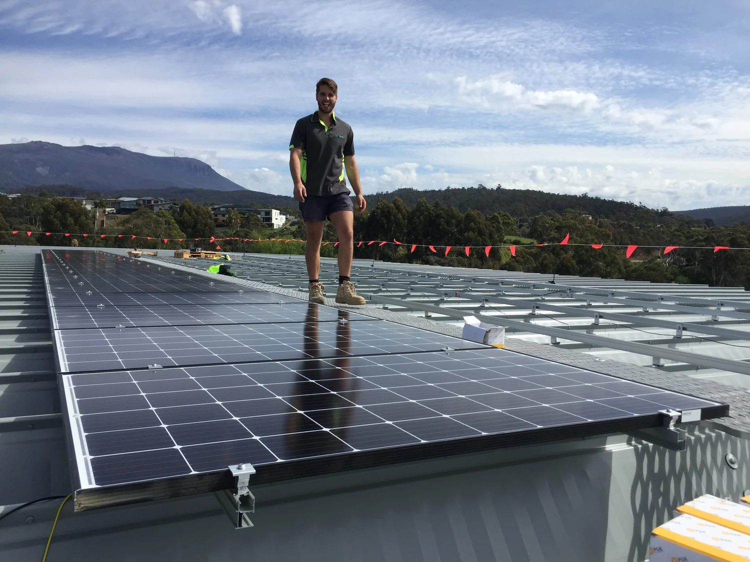 Whitney Electrical & Solar