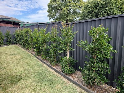 Wild-Crocs gardening services work 2