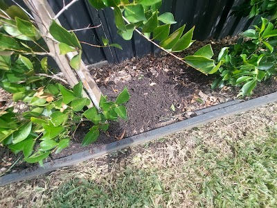 Wild-Crocs gardening services project 5