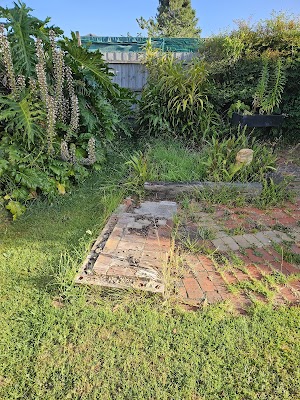 Woody's Waste Services photo 3