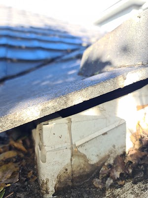 Zeropest Australia work 3