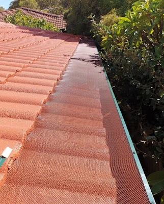 Master Roofers and Painter