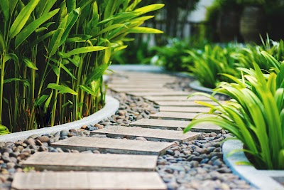 Nature's Greenscapes