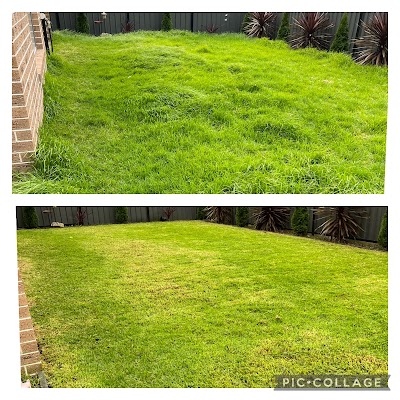 Nature Strip Mowing Co