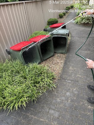 P & B Cleaning Services