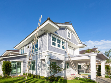 Painting and Decorating Specialist 20 years experience