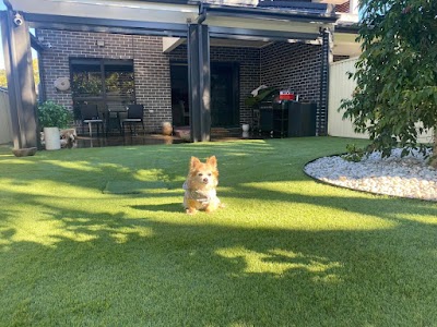 Pet Turf Australia