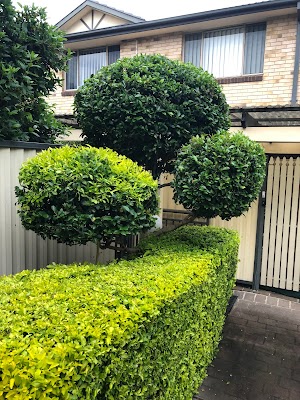 Pichor‘s Gardening