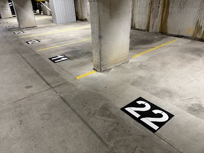 Pink Panther Painting