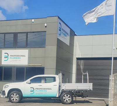 Professional Plumbing