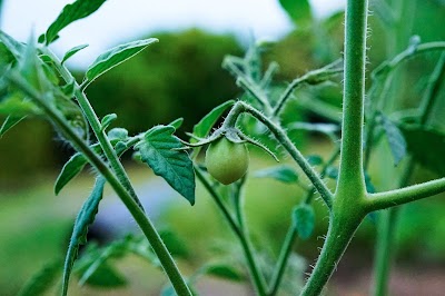 Rural Garden Supplies Humpty Doo