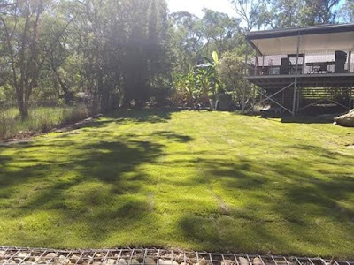 Stewy's Pool Removal Turf Laying and Landscaping