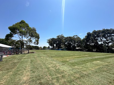 SYDNEY TURF AND LANDSCAPING