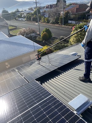 Tassi Cleaning Services