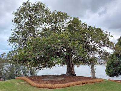 Waratah Group Services (WGS)