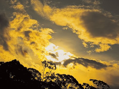 Warnervale Landscape Supplies